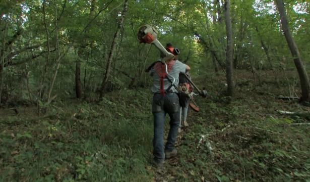 Le temps des châtaignes