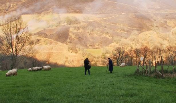 Dieuzaide, regards en partage