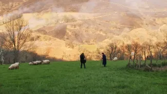 Dieuzaide, regards en partage